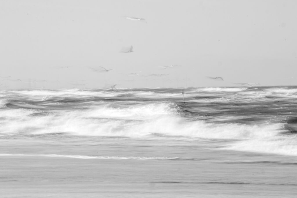 sea